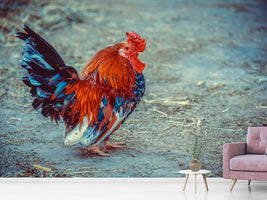 photo-wallpaper-proud-cock